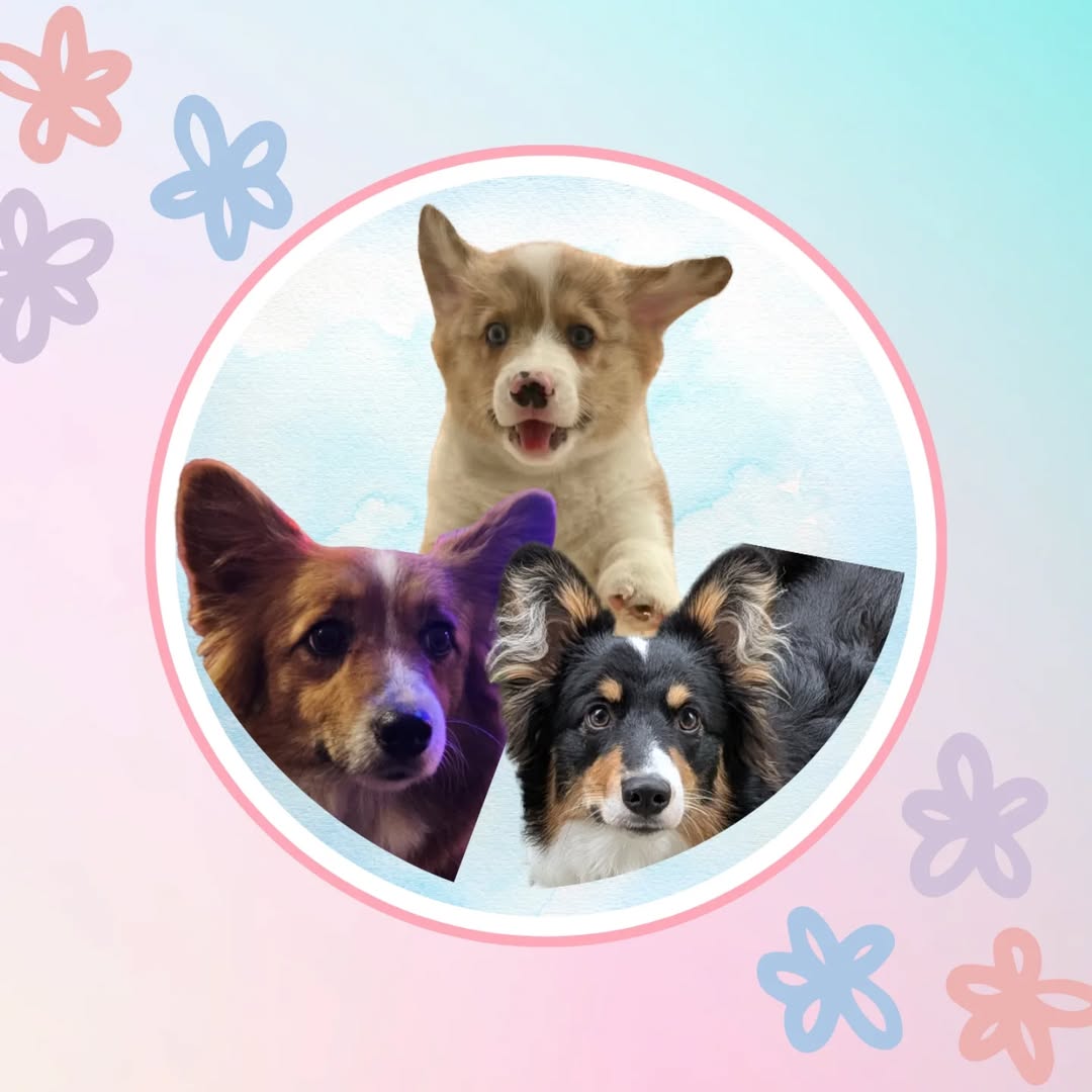 Another Instagram favorite